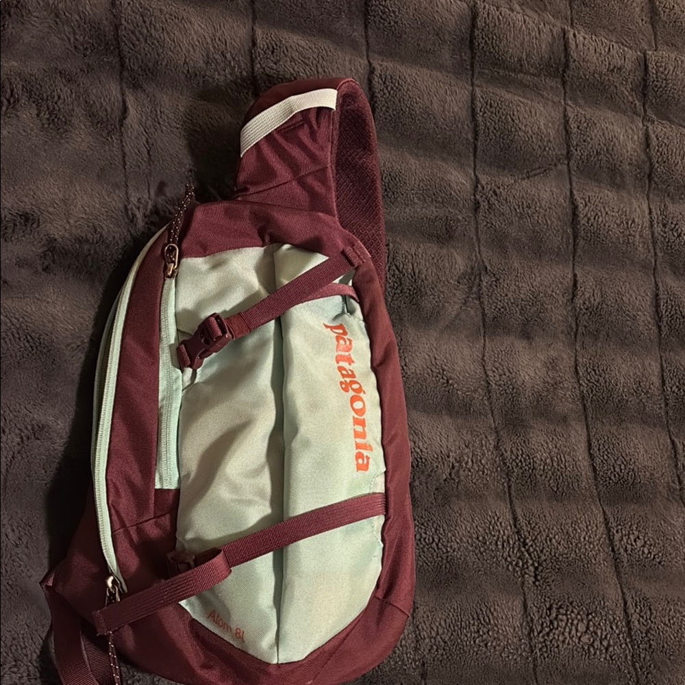 Patagonia Burgundy and Mint Sling Bag